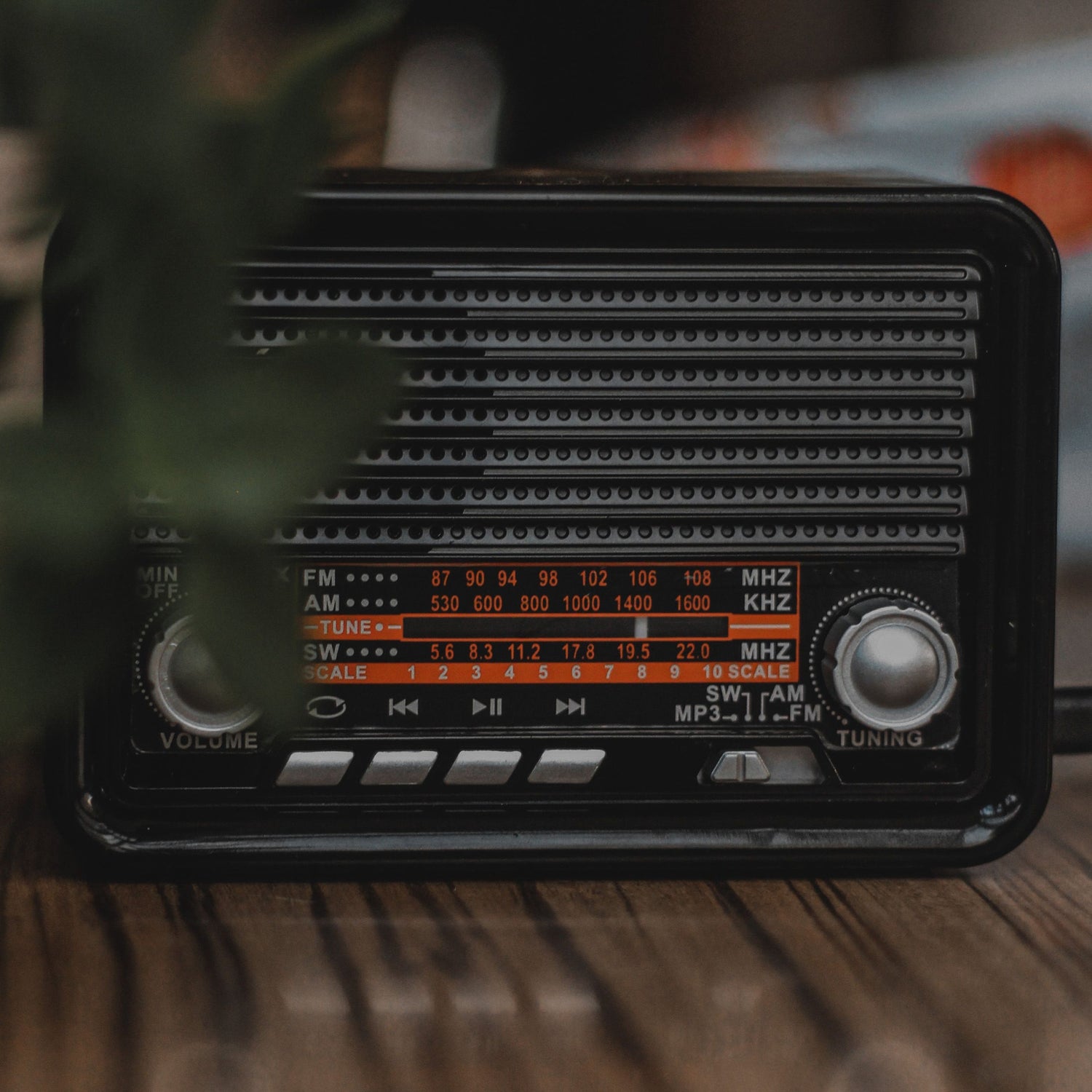 Portable Audio & Communication