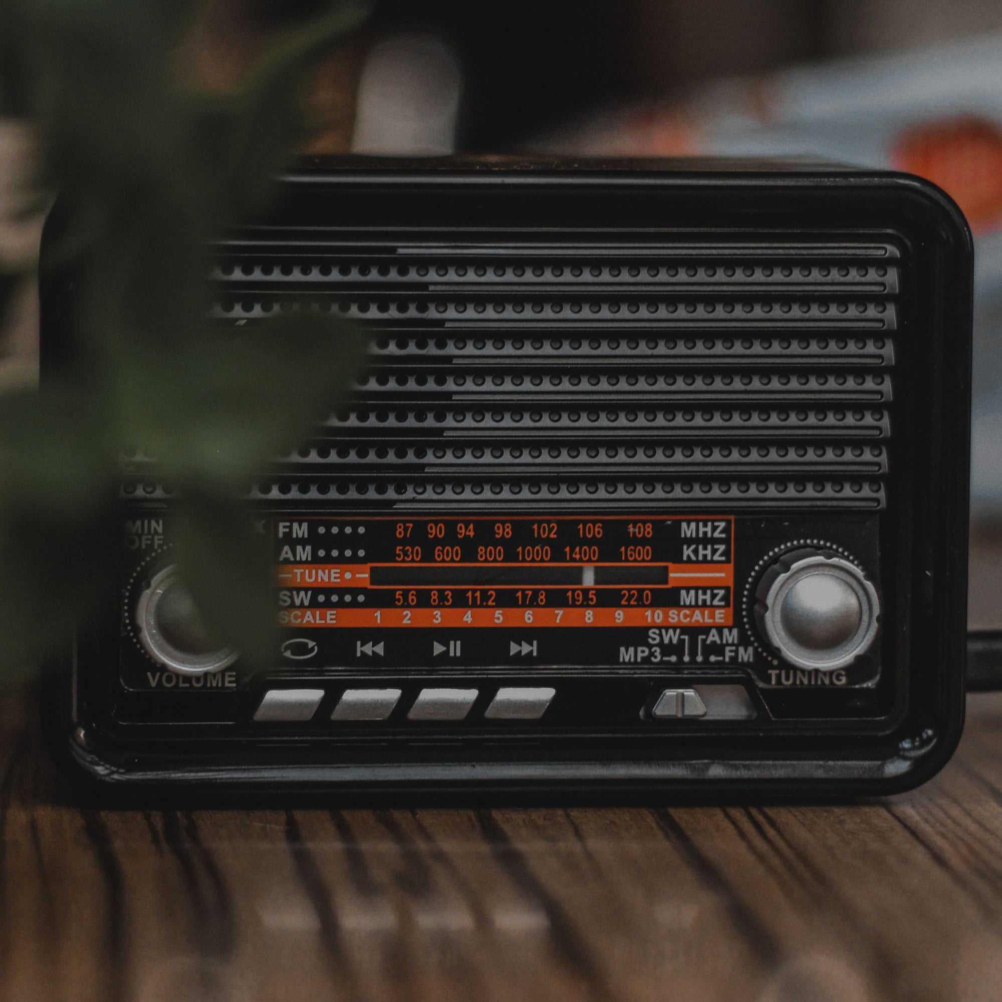 Portable Audio & Communication