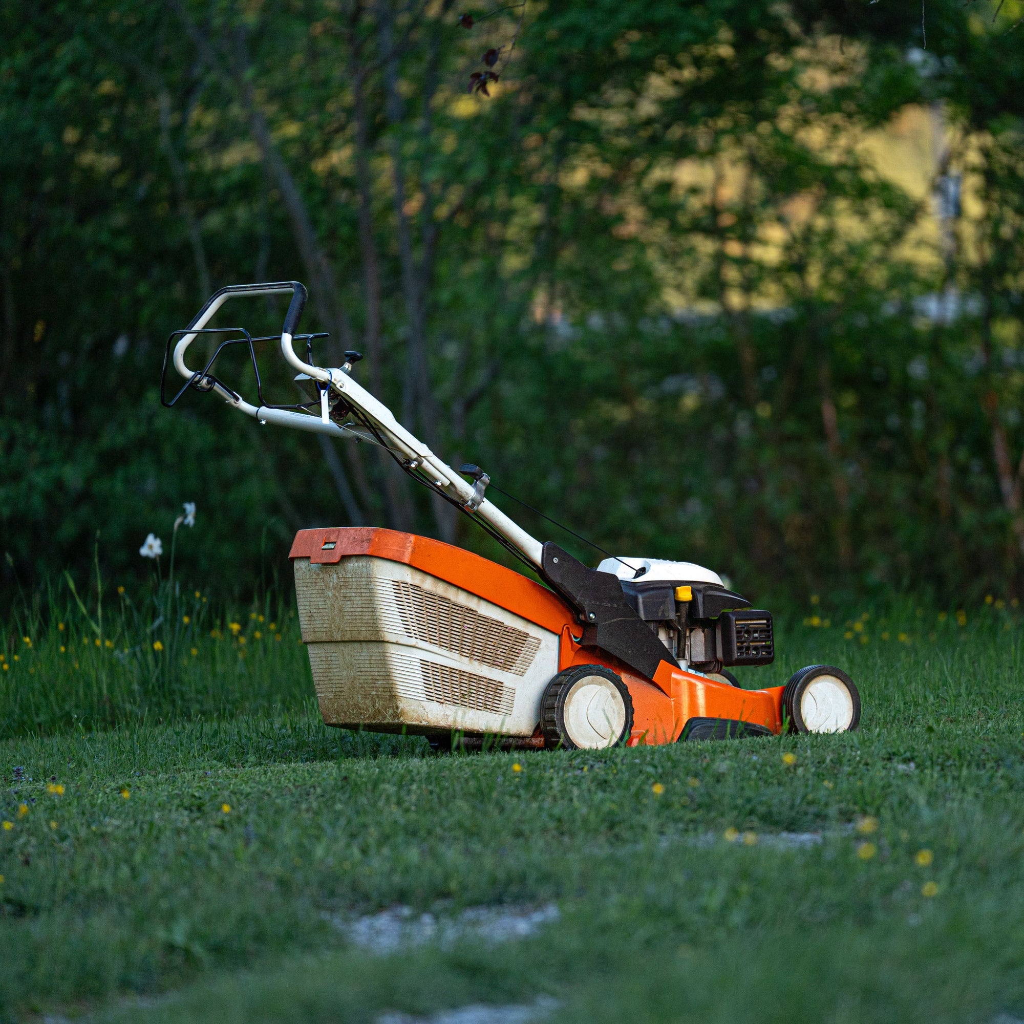 Gardening & Lawn Care