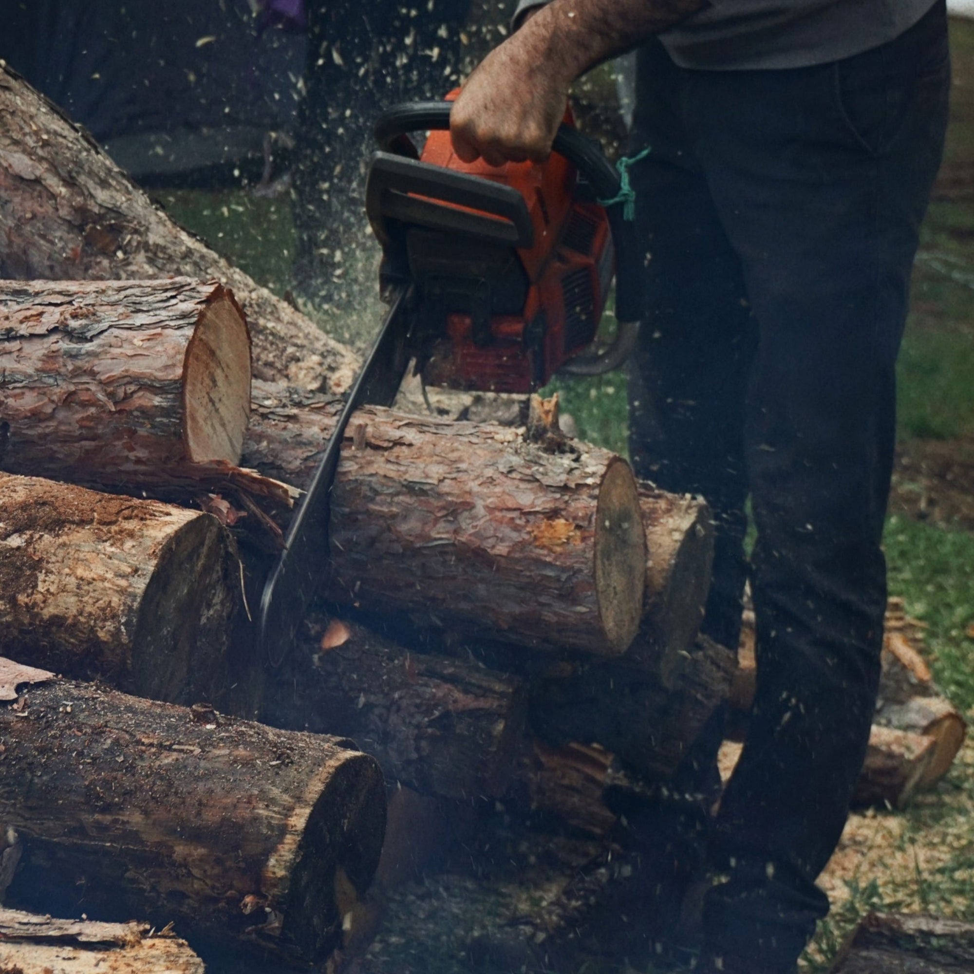 Outdoor Power Tools