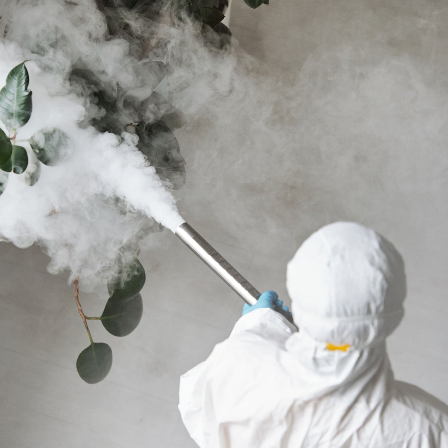 Pest Control