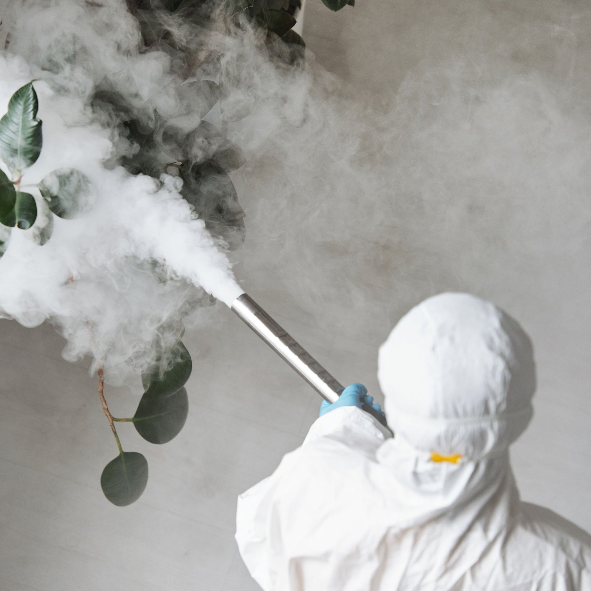 Pest Control