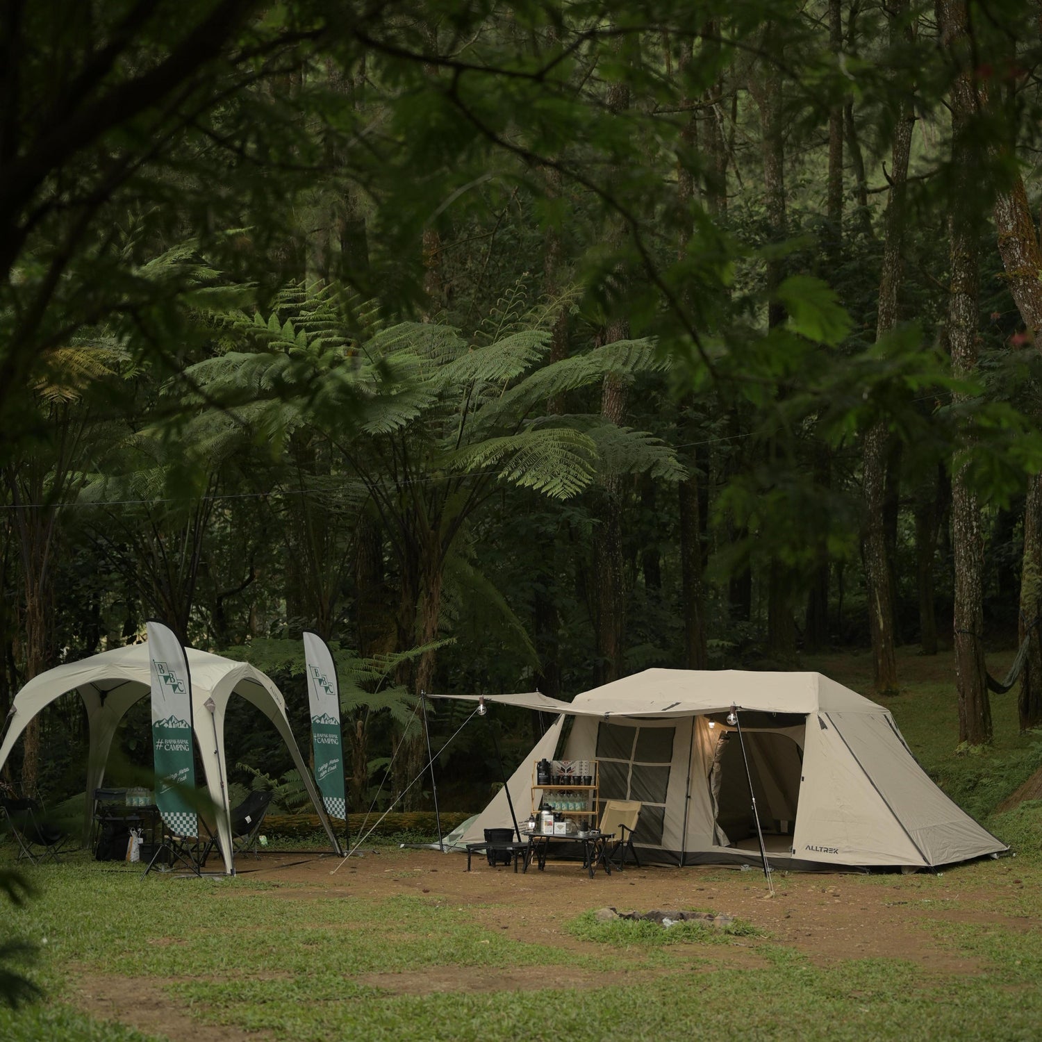Camping & Hiking