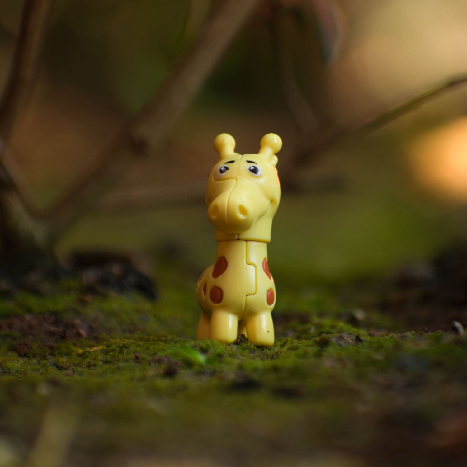 Novelty Toys