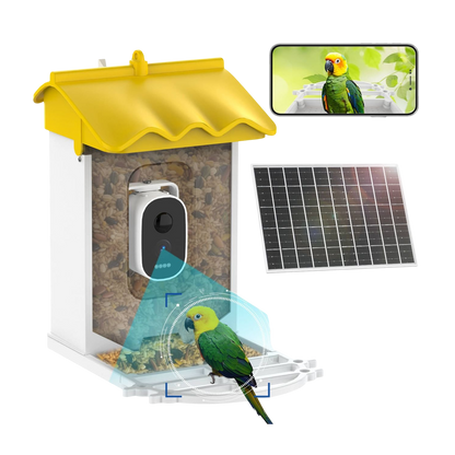 BirdieSaw 2