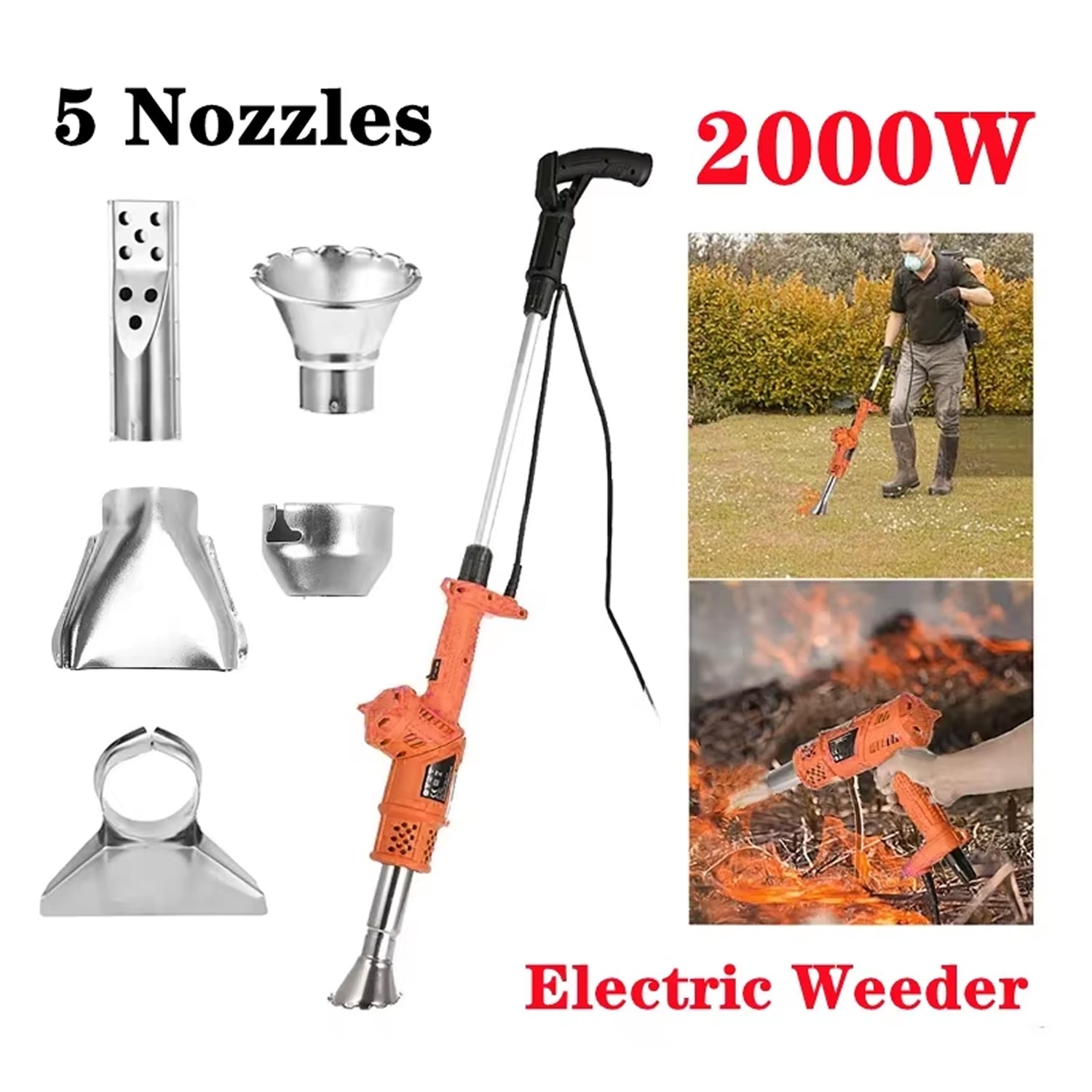 EradiWit