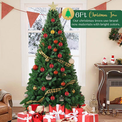 FestivPine 1