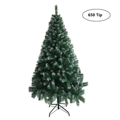 FestivPine 1