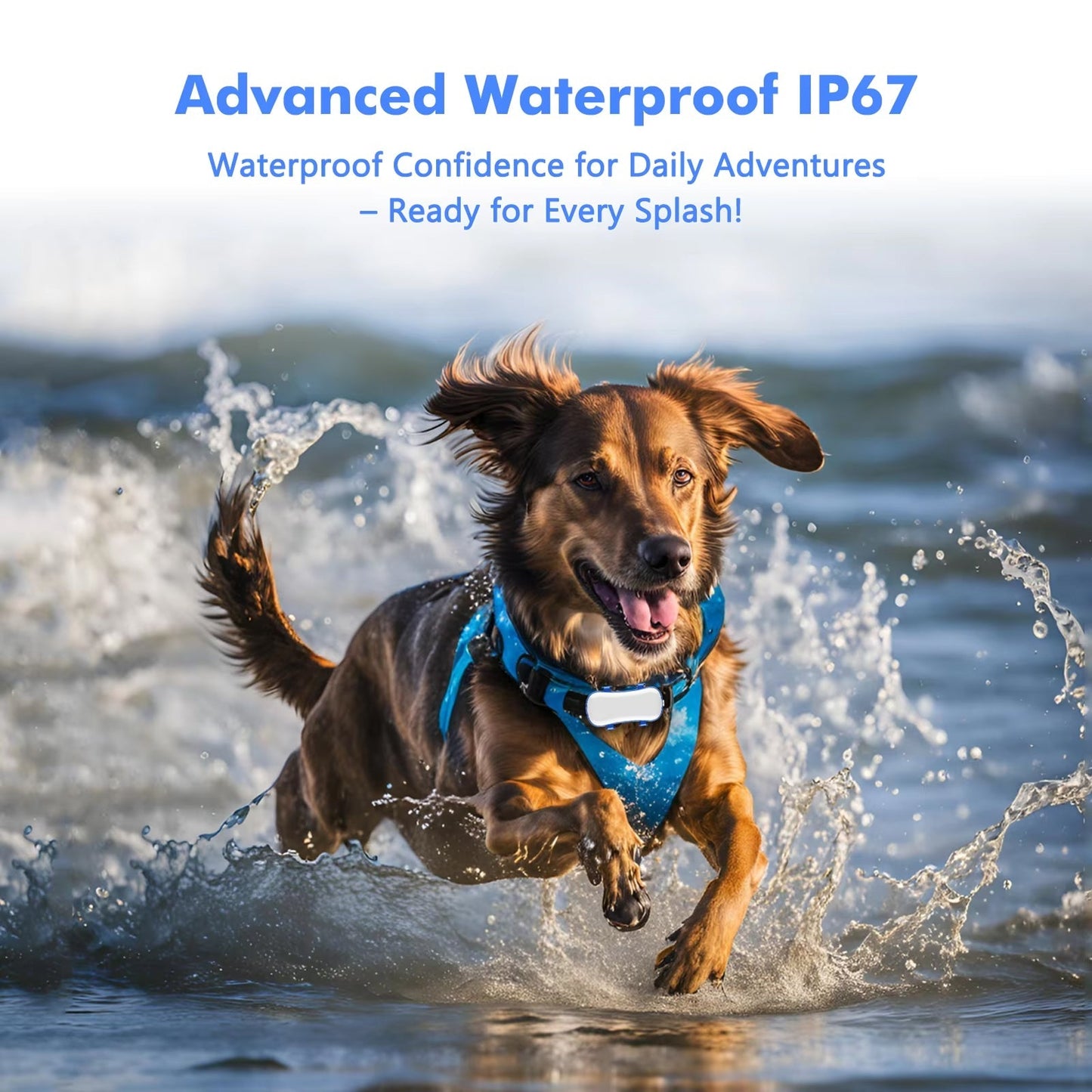 PupPinpoint 2.0