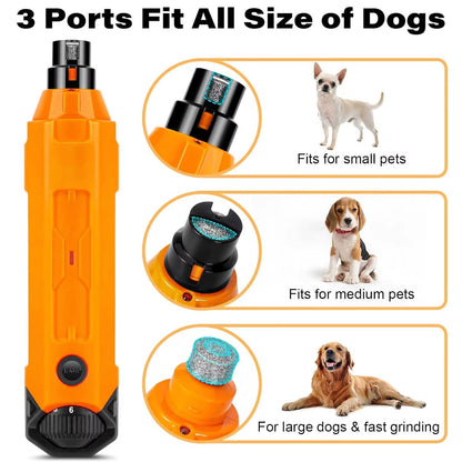 GrinPaw 2