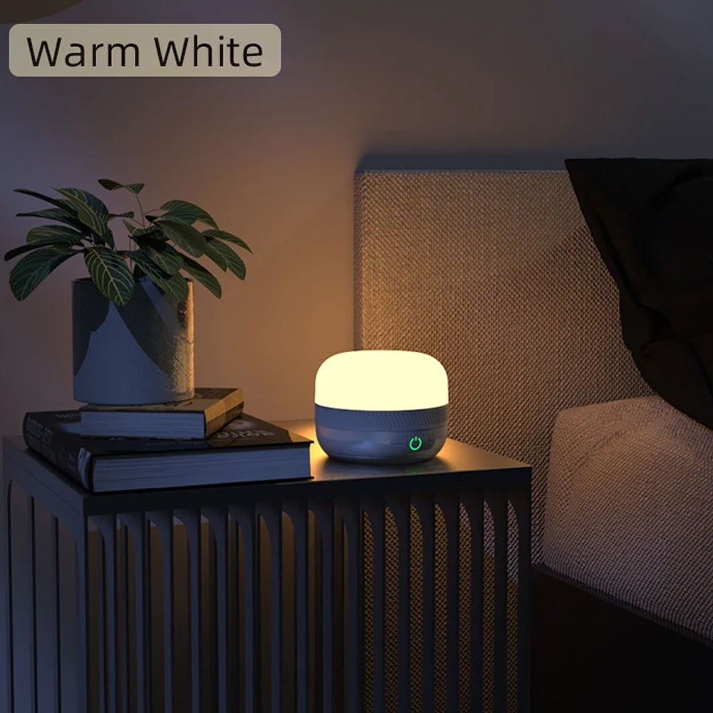 Lampterny