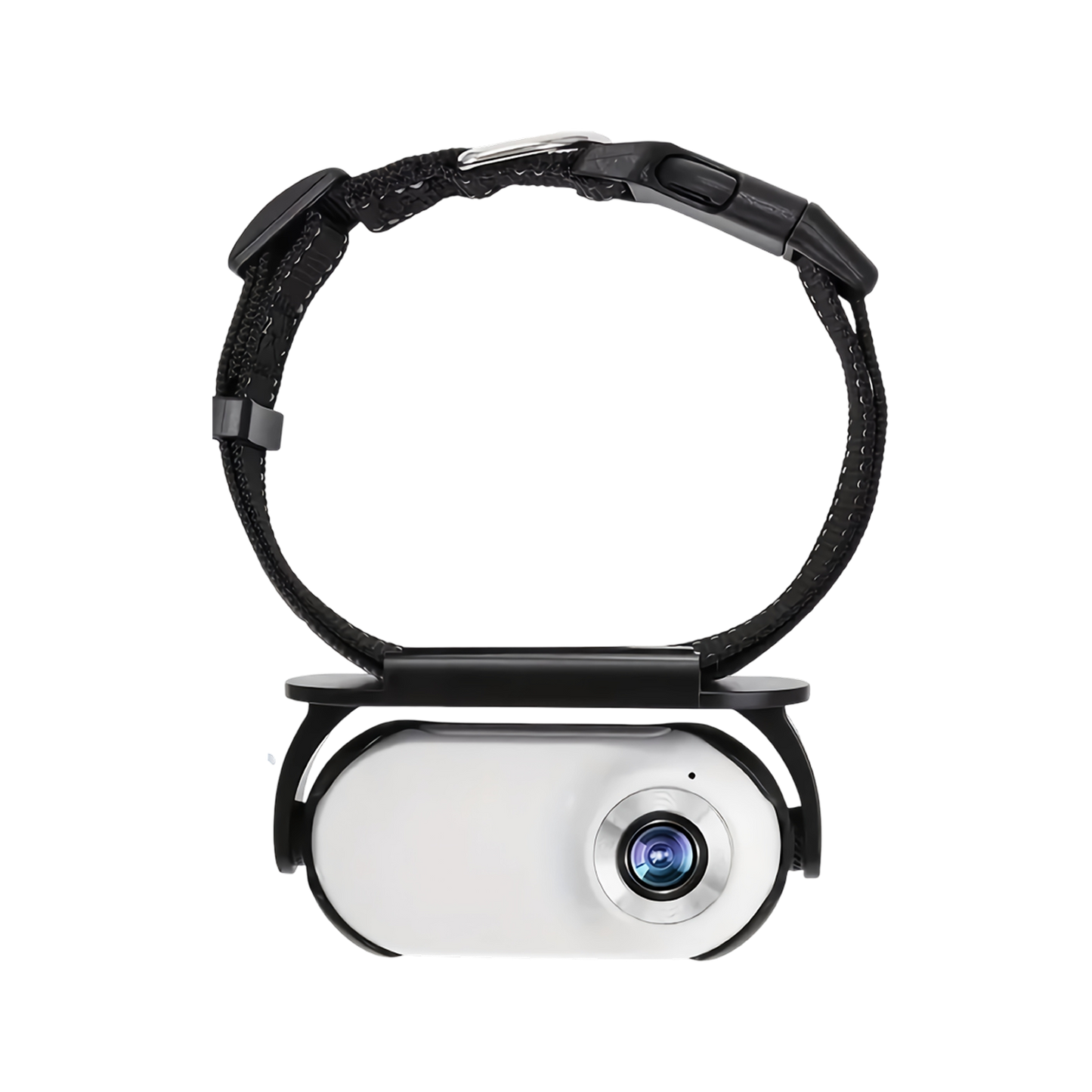 MeowyCam