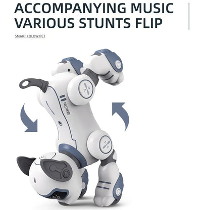 RoboKinek