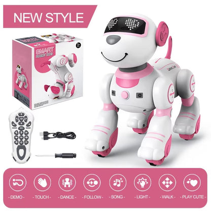 RoboKinek