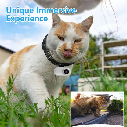snap-purr-img-22.jpg__PID:bcd561c3-aaa6-4ba7-928d-e04a68ae967a
