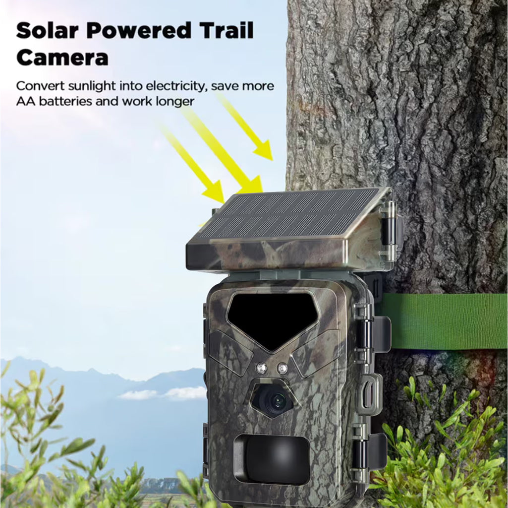 TrailSnapi