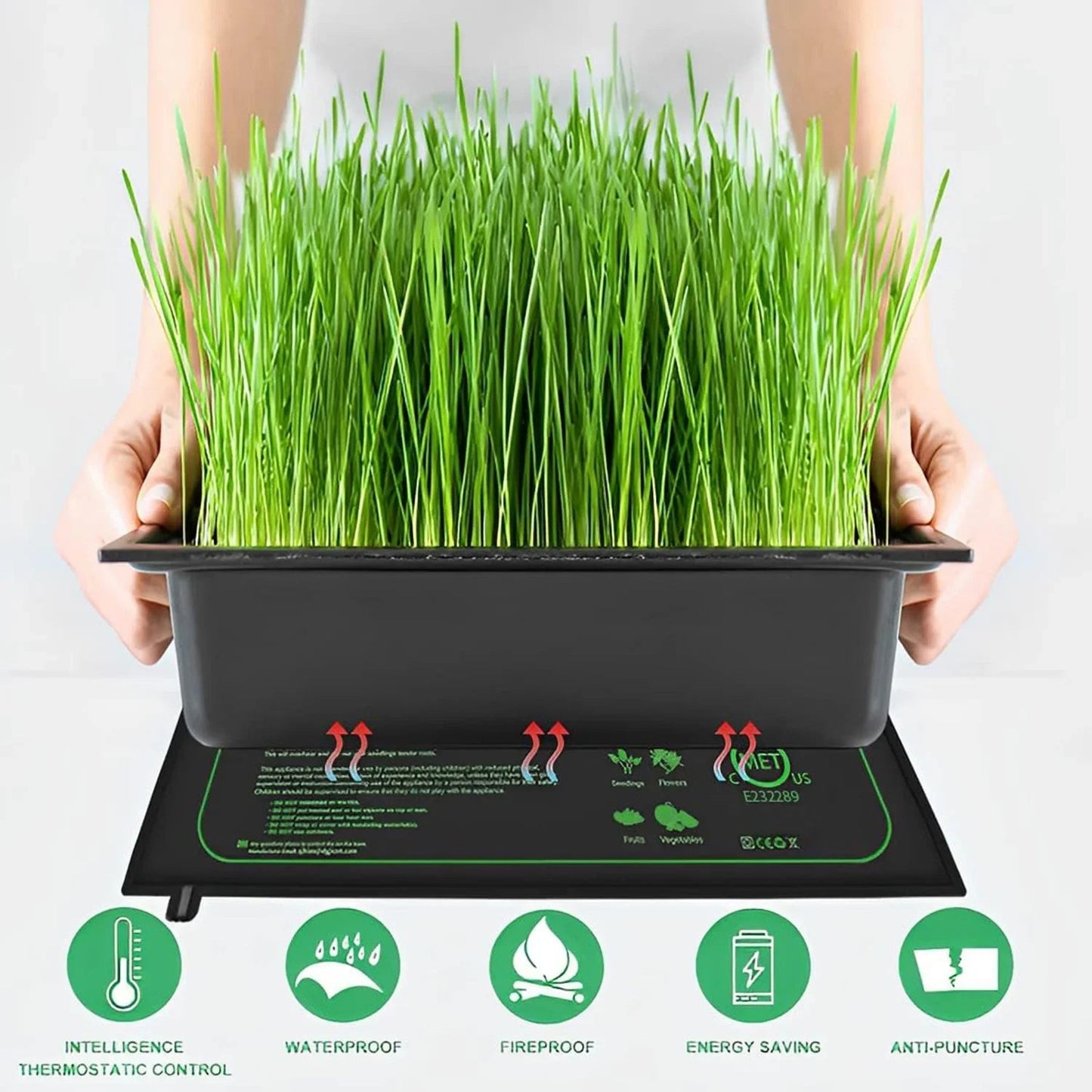 WarmyGrow
