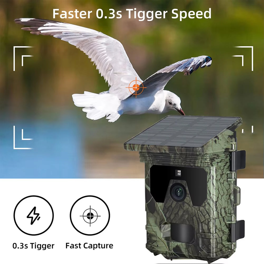 Wildsnap v2 - 5