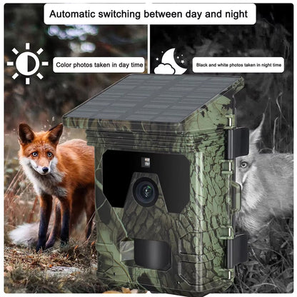 Wildsnap v2 - 9