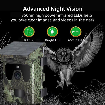 Wildsnap v2 - 6