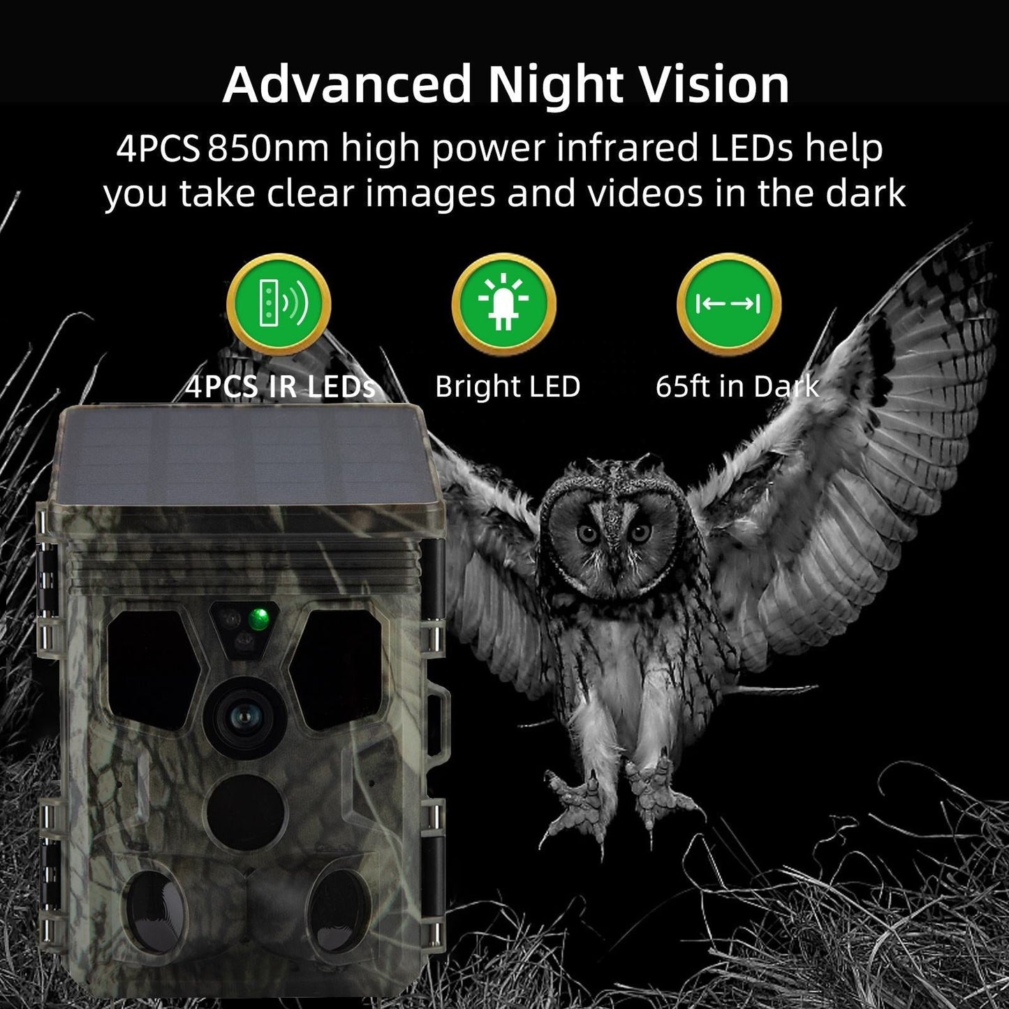 Wildsnap v3