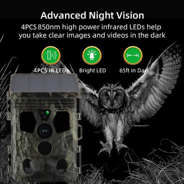Wildsnap v3 - 1